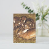 baby konijnen in nestkunst briefkaart (Staand voorkant)