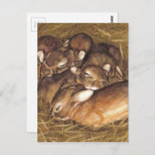 baby konijnen in nestkunst briefkaart (Voorkant / Achterkant)