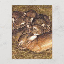 baby konijnen in nestkunst briefkaart