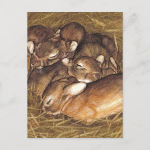 baby konijnen in nestkunst briefkaart