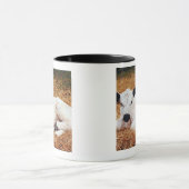 Baby Kool, kalf Mok (Midden)