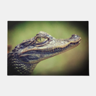 Baby krokodil deurmat