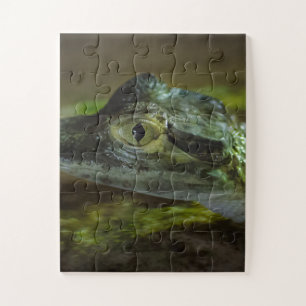 Baby krokodil zwemmen in water legpuzzel