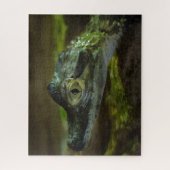 Baby krokodil zwemmen in water legpuzzel (Verticaal)