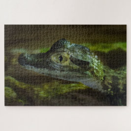 Baby krokodil zwemmen in water legpuzzel