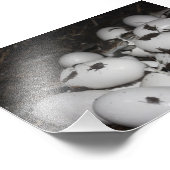 Baby Krokodillen Foto Afdruk (Hoek)