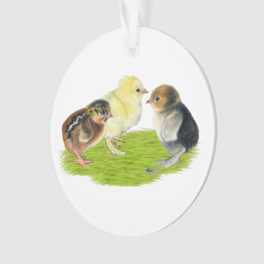 Baby Kuiken Trio Ornament (voorkant)