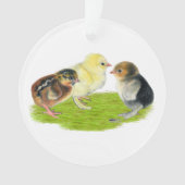 Baby Kuiken Trio Ornament (voorkant)