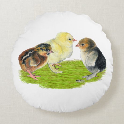 Baby Kuiken Trio Rond Kussen (Voorkant)