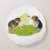Baby Kuiken Trio Rond Kussen (Achterkant)