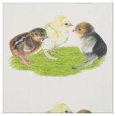 Baby Kuiken Trio Stof (Swatch)