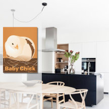 Baby Kuiken Uitbroeden Oranje Keuken