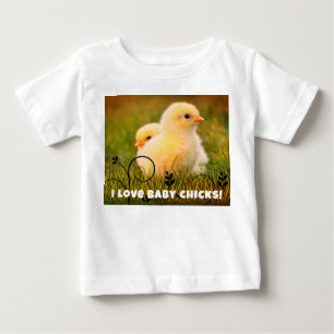 Baby Kuikens