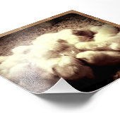 Baby kuikens foto afdruk (Hoek)