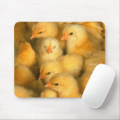 Baby kuikens muismat (Met muis)