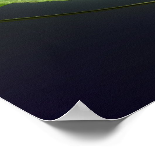 baby ladybug poster (Hoek)