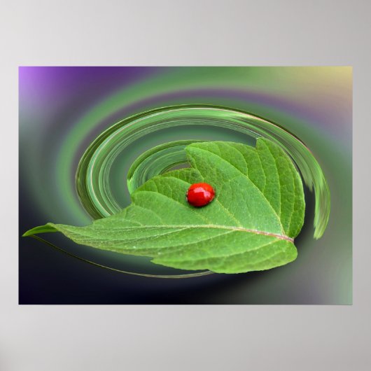 baby ladybug poster (Voorkant)