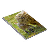 Baby Lam Notitieboek (Rechterzijde)