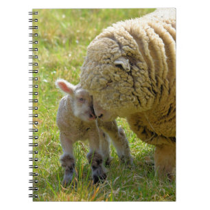 Baby Lam Notitieboek