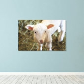Baby Lamb Canvas Afdruk (Insitu (Houten vloer))