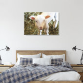 Baby Lamb Canvas Afdruk (Insitu (Slaapkamer))