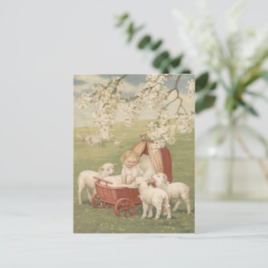 Baby Lamb Dogwood Tree Field Briefkaart (Staand voorkant)