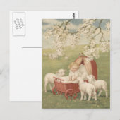 Baby Lamb Dogwood Tree Field Briefkaart (Voorkant / Achterkant)