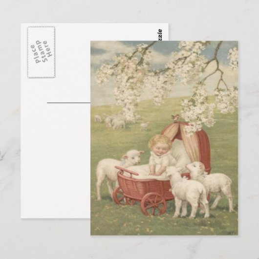 Baby Lamb Dogwood Tree Field Briefkaart (Voorkant / Achterkant)