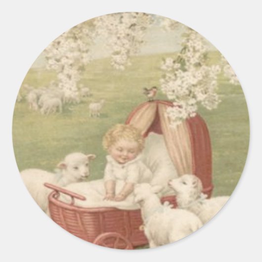 Baby Lamb Dogwood Tree Field Ronde Sticker (Voorkant)