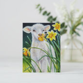 Baby Lamb en Lente Daffodils Waterverf Art Post Briefkaart (Staand voorkant)