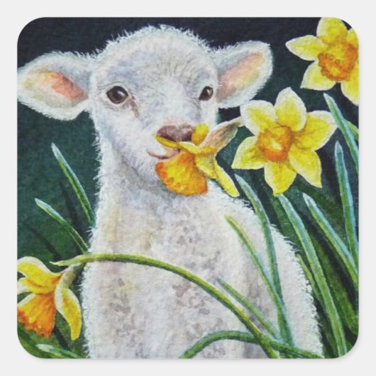 Baby Lamb en lentesaffodils Waterverf kunst Vierkante Sticker (Voorkant)