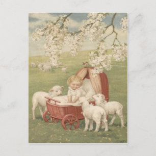 Baby Lamb Kornoelje Boom Veld Briefkaart