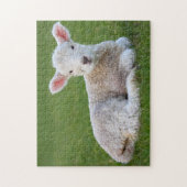 Baby Lamb Legpuzzel (Verticaal)