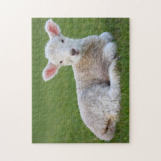 Baby Lamb Legpuzzel (Verticaal)