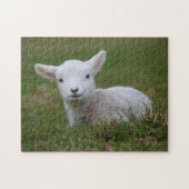 Baby Lamb Legpuzzel (Horizontaal)