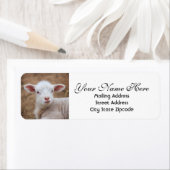 Baby Lamb Return-adres Etiket (Insitu)