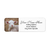 Baby Lamb Return-adres Etiket (Voorkant)
