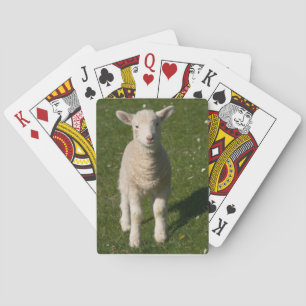 Baby Lamb Sheep Playing Cards Pokerkaarten