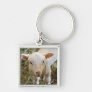 Baby Lamb Sleutelhanger