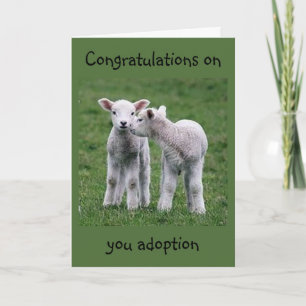 BABY LAMMEREN ZIJN BLIJ MET UW "ADOPTIE" KAART