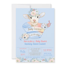 Baby Lammetje Roze Blauwe Geslacht Neutrale Reveal