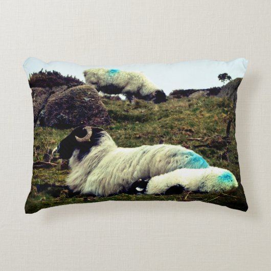 Baby lampjes slapen nabij het hout van Wistman Accent Kussen (Voorkant)