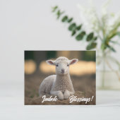 Baby lampwissel briefkaart (Staand voorkant)