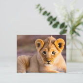 Baby leeuw aan het gras briefkaart (Staand voorkant)