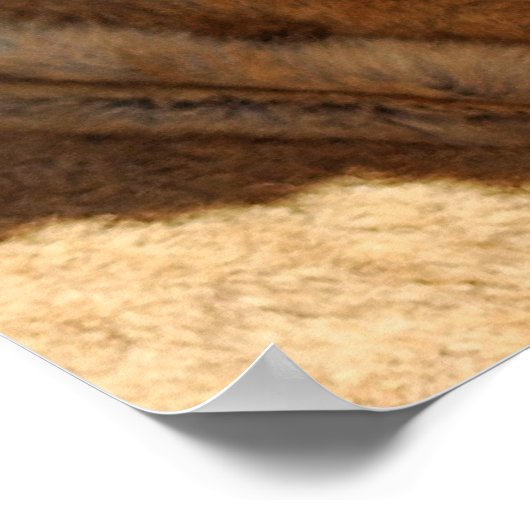 Baby leeuwen poster (Hoek)