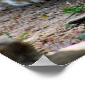 Baby leeuwenkub poster (Hoek)