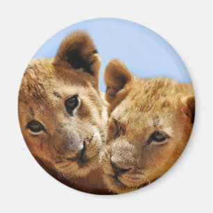Baby leeuwenliefde magneet