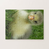 baby legpuzzel (Horizontaal)