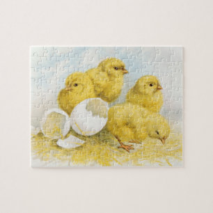 Baby Legpuzzel