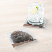 Baby Lemur Glas Onderzetter (Schuin)